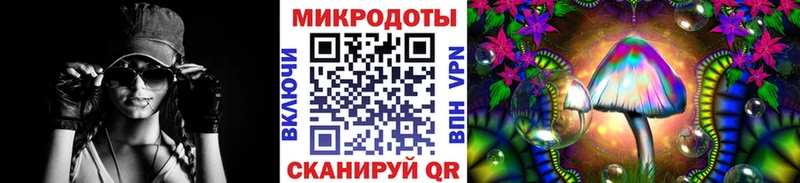 Купить где  Ершов  Галлюциногенные грибы прущие грибы 